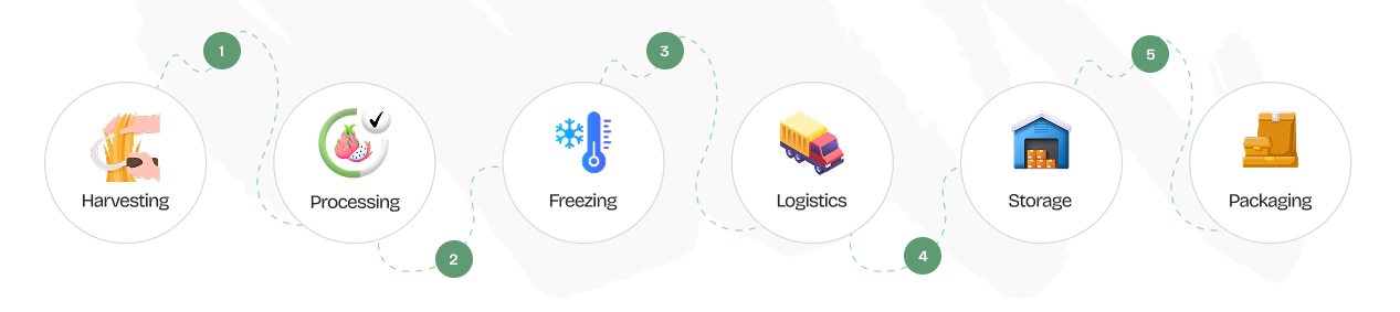 Our Process