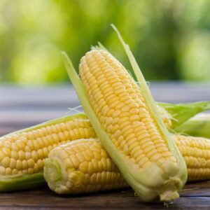 Frozen SweetCorn