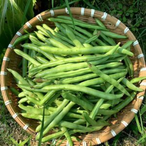 Frozen Green Beans