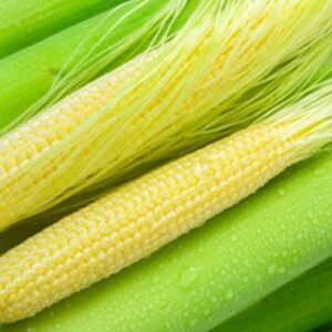Frozen Baby corn