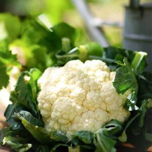 Frozen Cauliflower